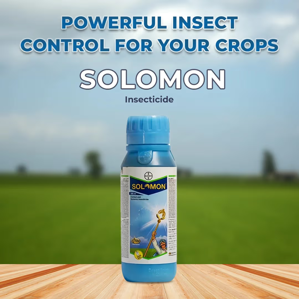 Bayer Solomon Insecticide 80ml