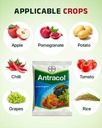 Antracol Fungicide by Bayer (Propineb 70% WP) 4