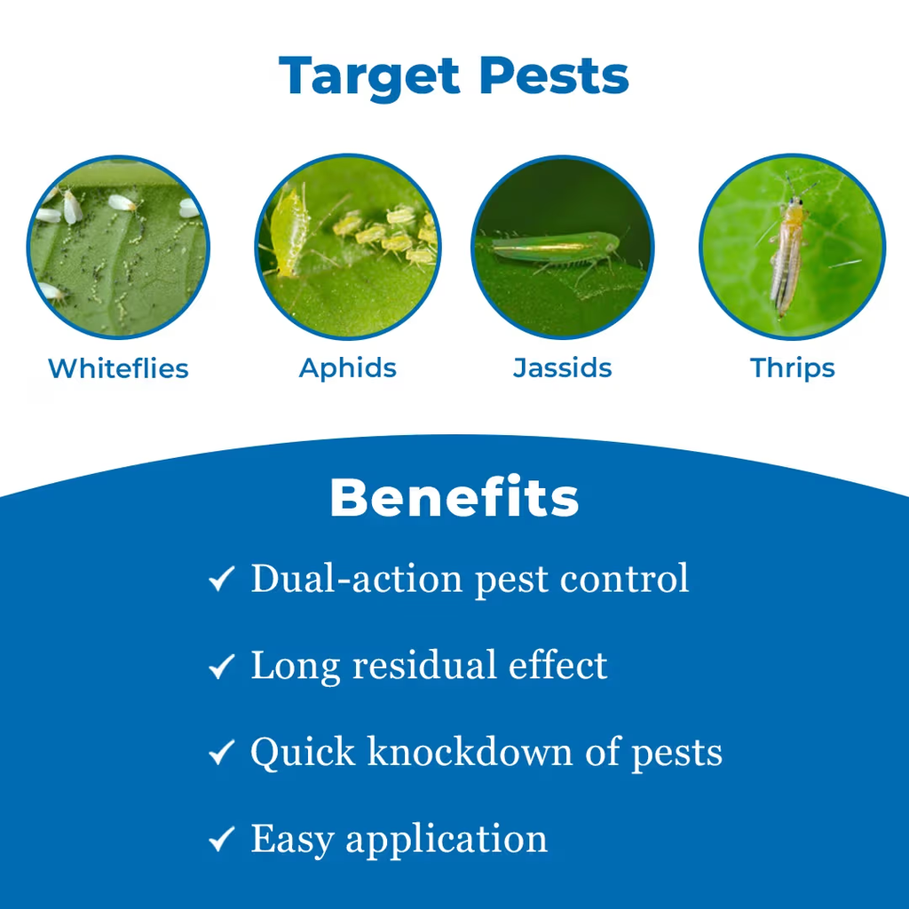 Bayer Solomon Insecticide 80ml