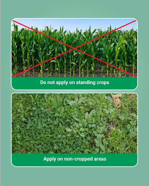 Bayer Roundup Herbicide (Glyphosate 41% SL) 4