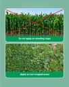 Bayer Roundup Herbicide (Glyphosate 41% SL) 4