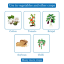 Bayer Solomon Insecticide 80ml