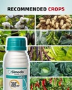 Simodis Insecticide by Syngenta (Isocycloseram 9.2% w/w DC + Isocycloseram 10% w/v DC) 4