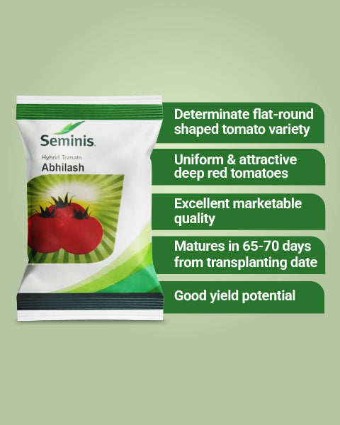 Seminis Abhilash Tomato Seeds 2