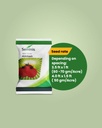 Seminis Abhilash Tomato Seeds 4