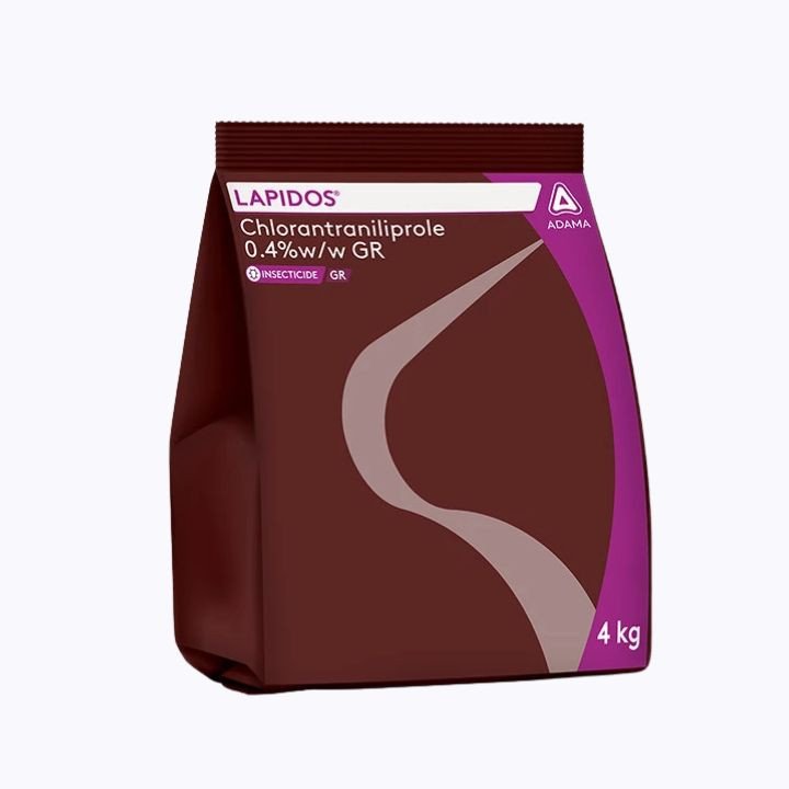 LAPIDOS